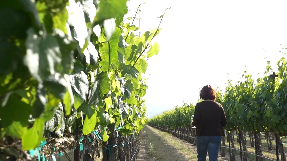 Every day is Earth Day at J. Lohr Vineyards & Wines