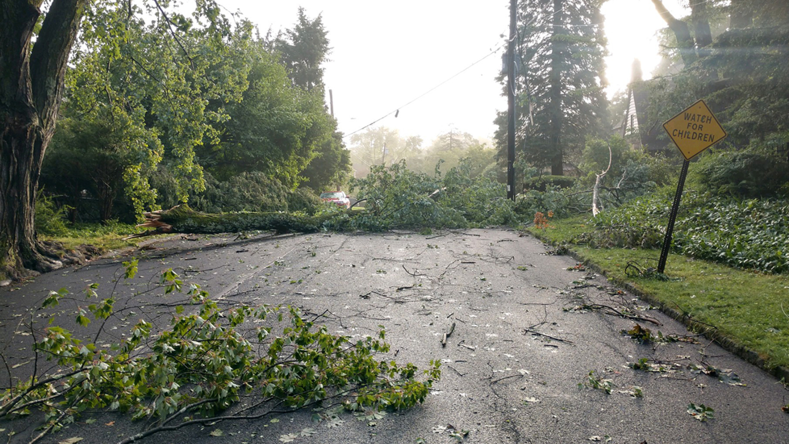 Storm damage Ulster County declares state of emergency after strong