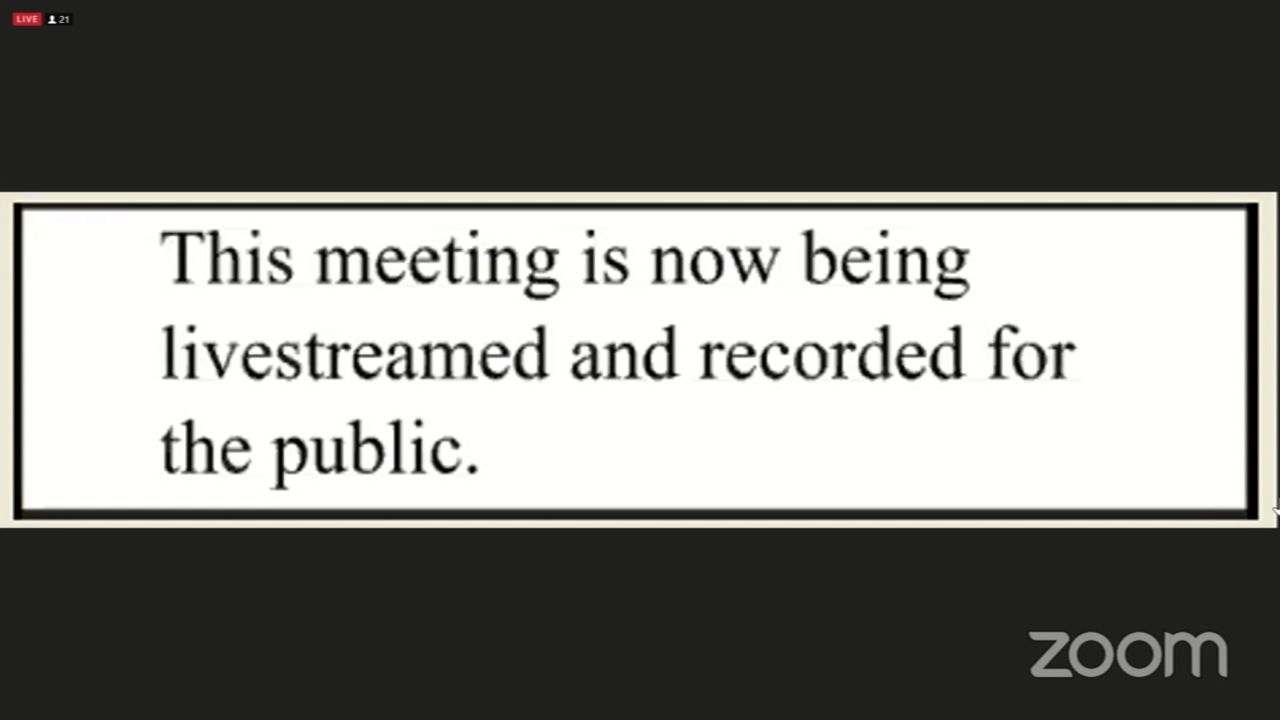 Remote meetings led to skipped votes in city council, BGA finds