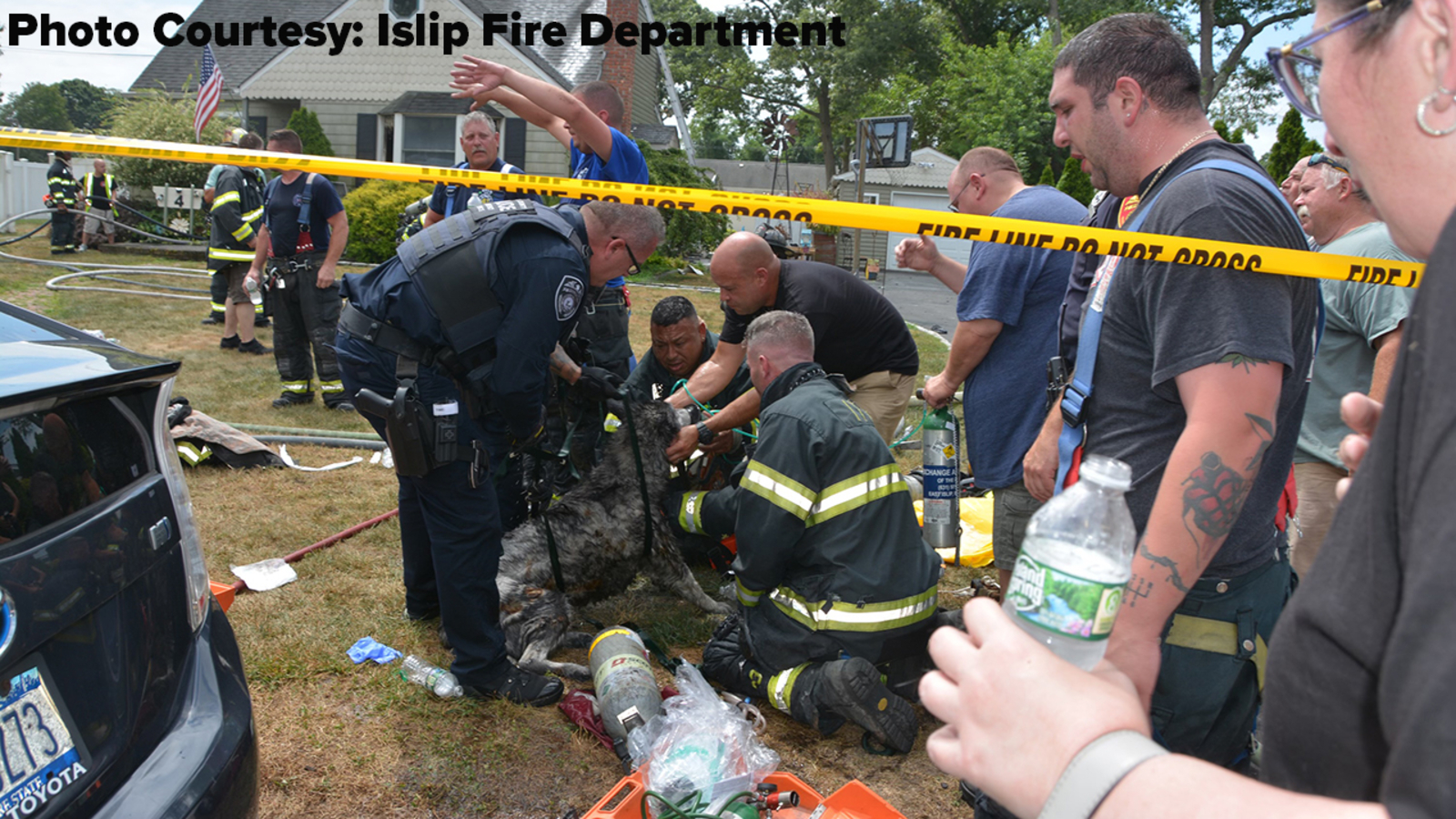 Woman, 3 dogs rescued from Islip Terrace house fire ABC7 New York
