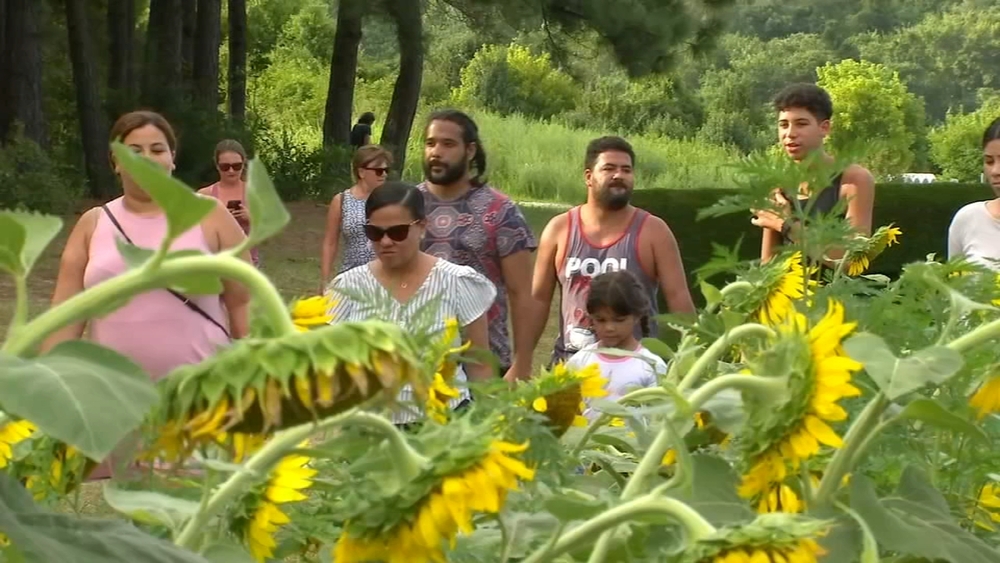Doctors urge caution as feels-like temperatures in Triangle hover around triple digits