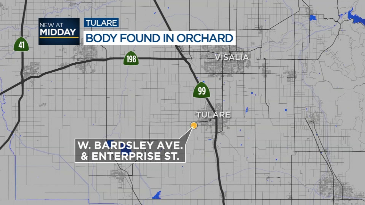 Body found in orchard in Tulare, deputies investigating