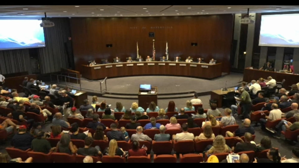 Naperville, IL Council considers semi-automatic gun sale ban