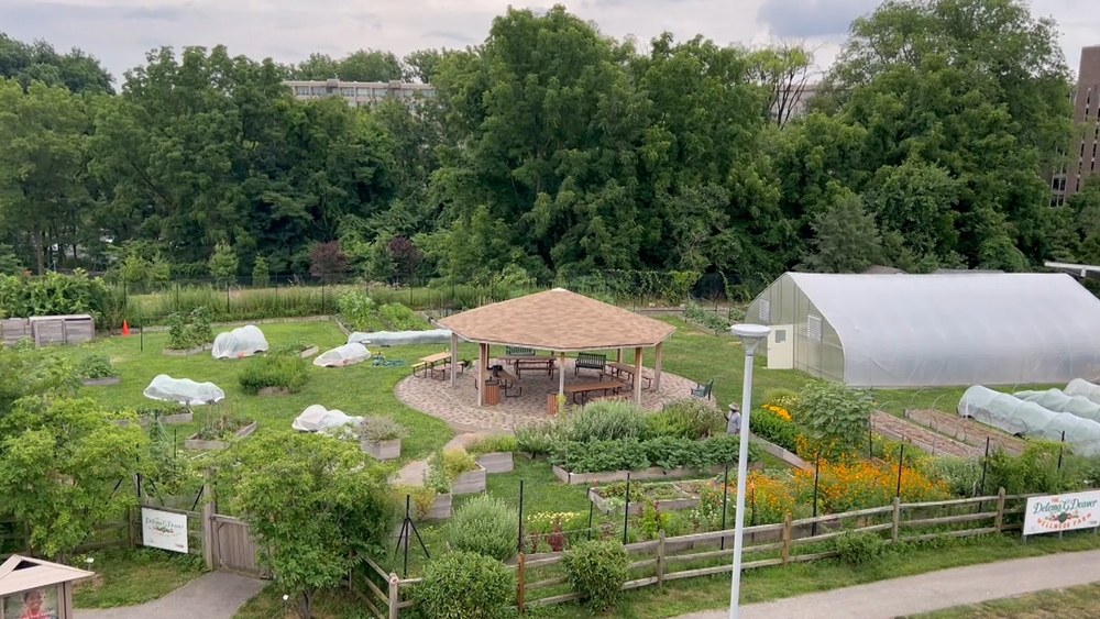 This PA hospital fights food insecurity with an on-site farm