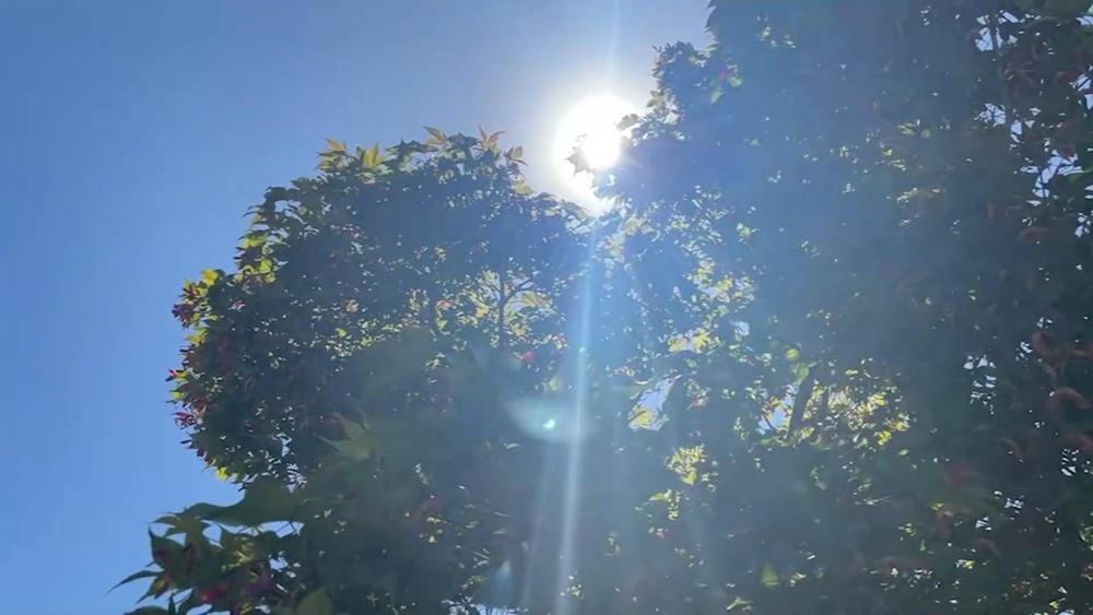 Protecting your eyes from UV rays