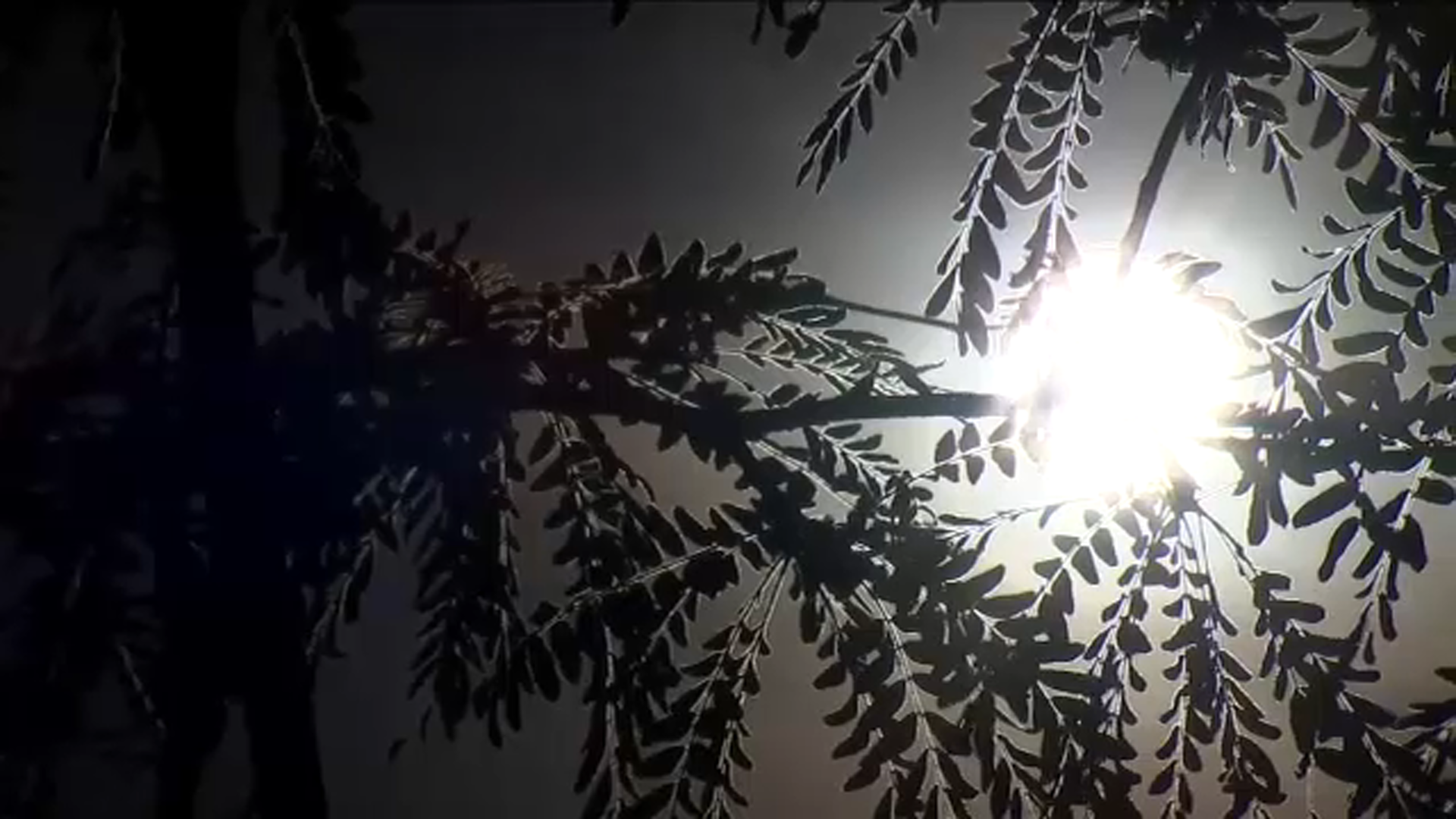 How dangerous heat can be depends on neighborhood you live
