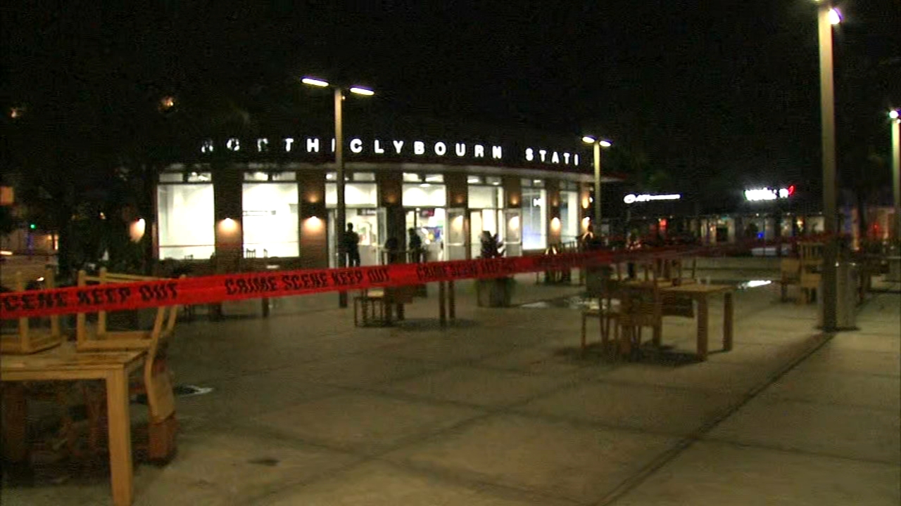 5 charged in CTA Red Line stabbing, robbery on North Side: police