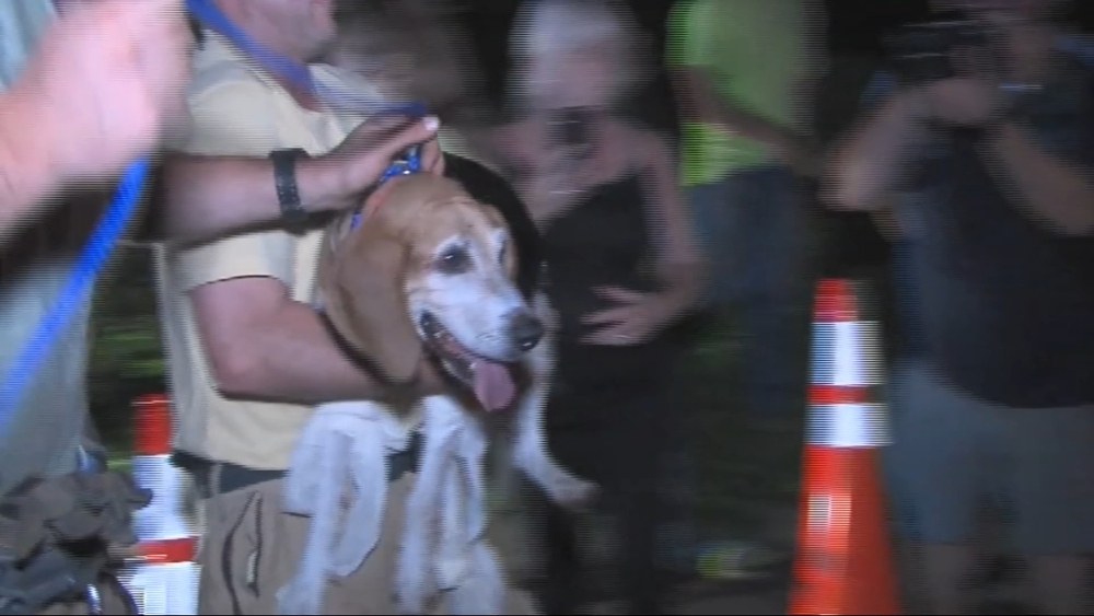 Crews rescue missing dog from drain pipe in South Jersey