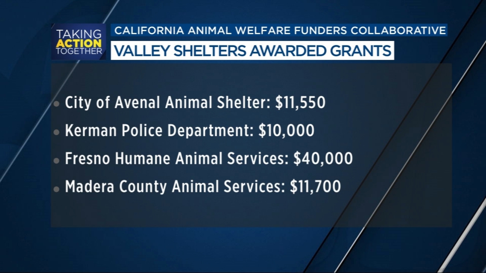 Valley animal shelters receive grants for resources ABC30 Fresno