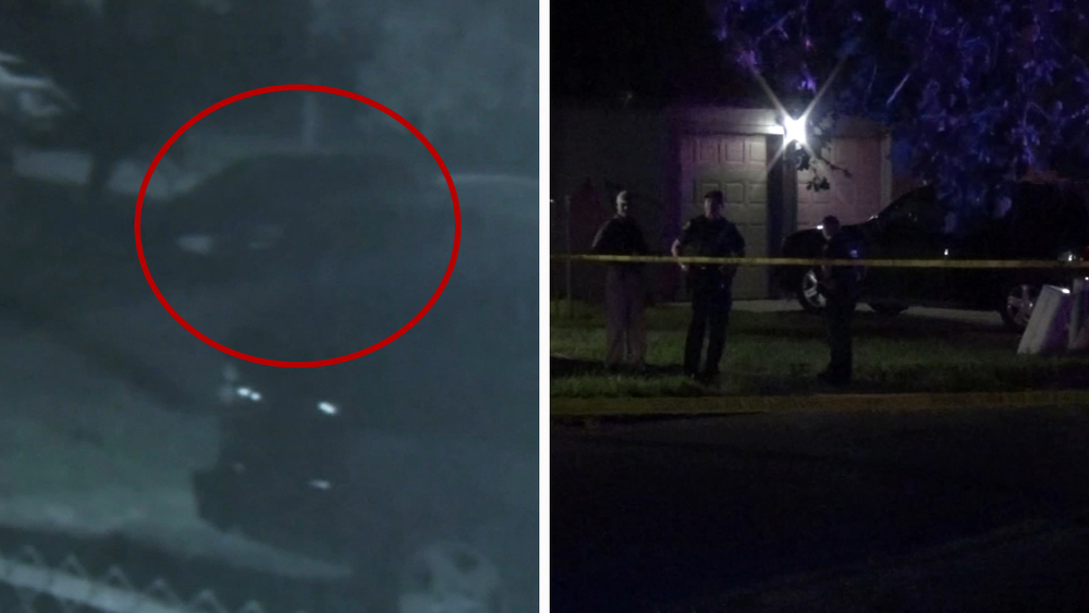 Transgender woman shot and killed 'in 10 seconds' in E. Houston