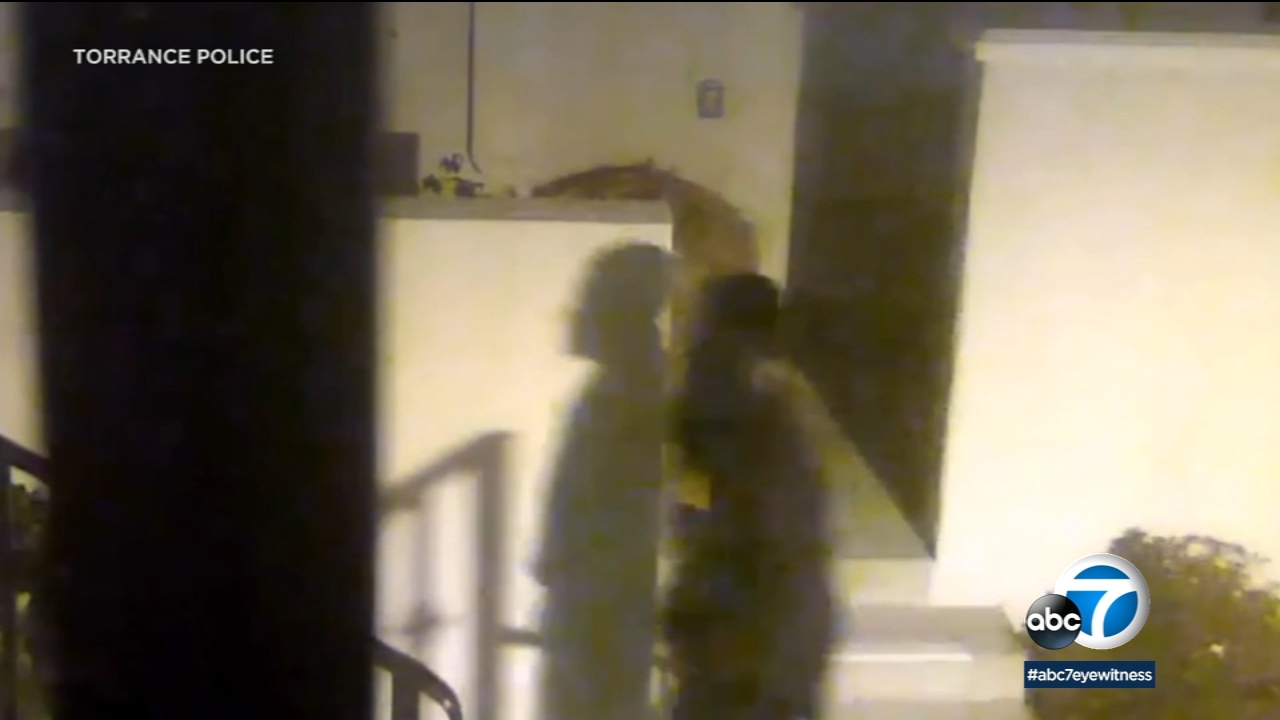 Torrance woman sexually assaulted, beaten while taking dogs on walk