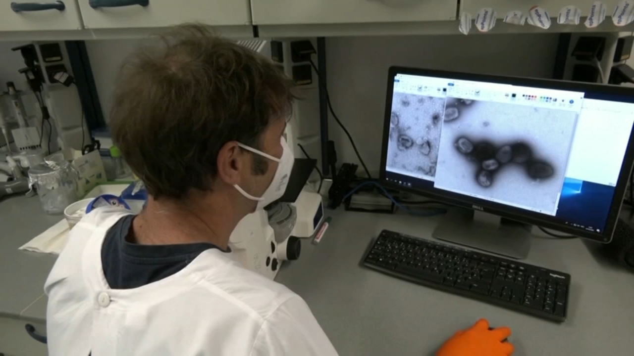 Experts say smallpox vaccine can help fight monkeypox
