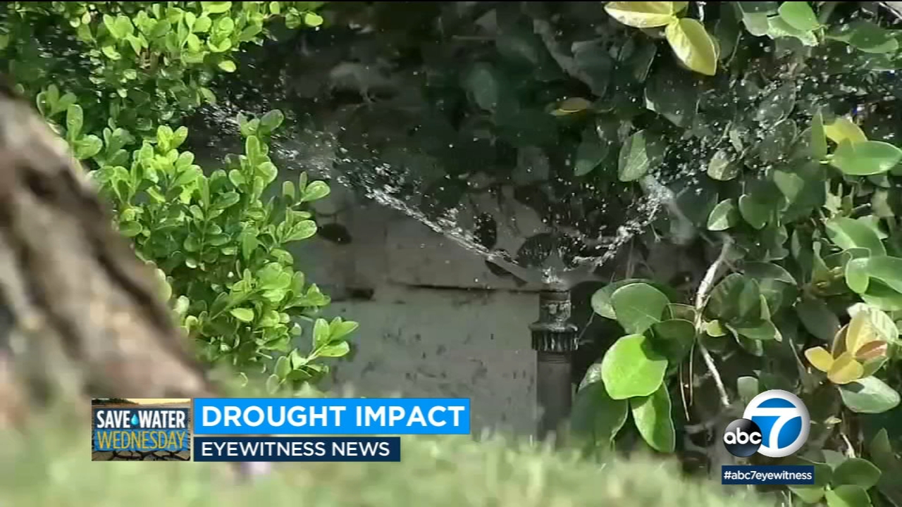 Tips for keeping your lawn green during California's drought