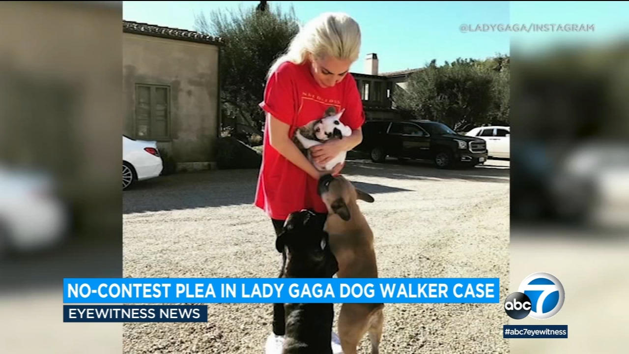 Suspect sentenced in shooting of Lady Gaga dog walker