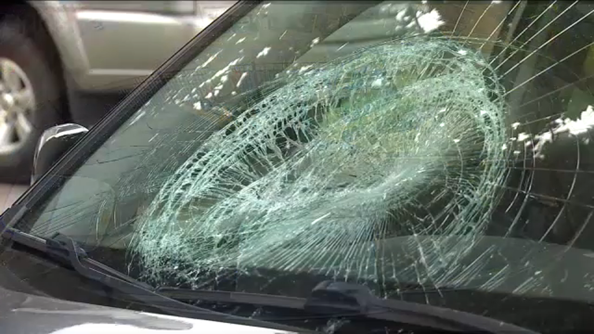 Suspect smashed windows of more than 2 dozen vehicles, police say