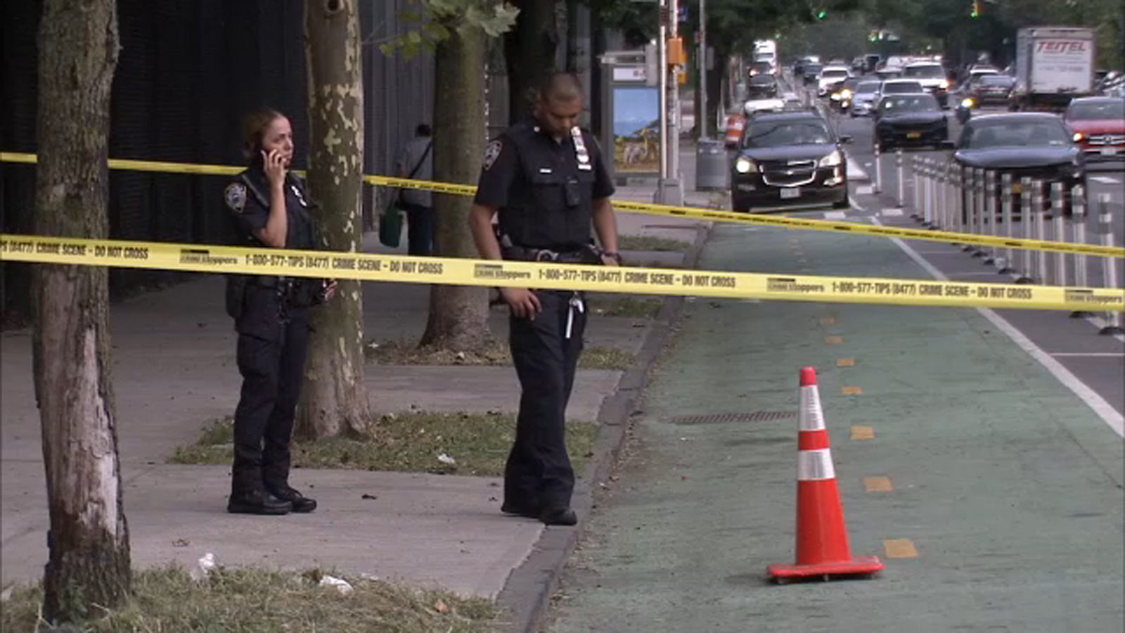 NYC Crime: Woman shot in back near Bronx Zoo - ABC7 New York