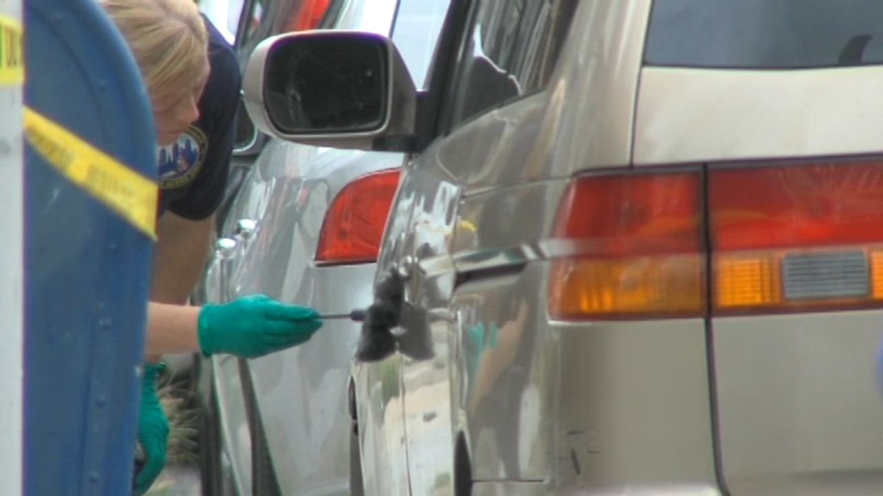 Man in custody after woman found stabbed to death in minivan