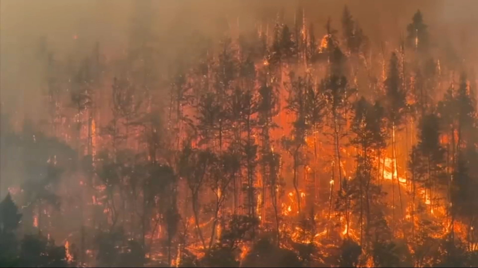 лесные пожары в свердловской области 2021. лесные пожары в якутии 2021. лесные пожары выкса. самый опасный лесной пожар. самый опасный лесной пожар.