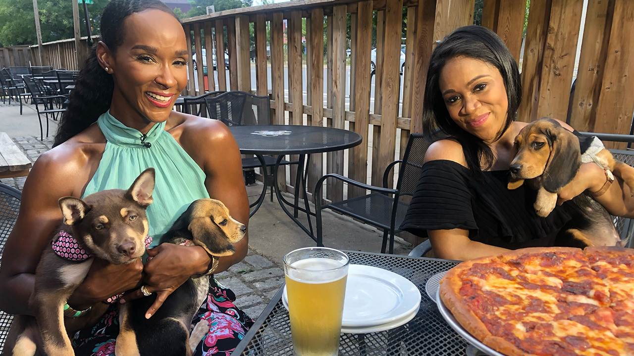 Diner en Blanc, Heinz Refuge turns 50 and cute adoptable dogs