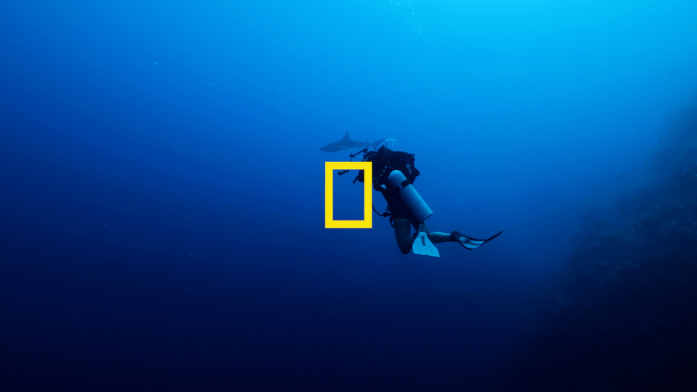 NatGeo Explorers discuss shark conservation