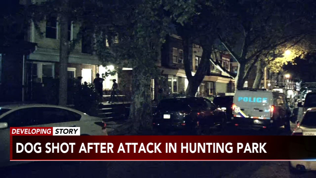 Neighbor shoots dog that attacked mother, son in Philadelphia