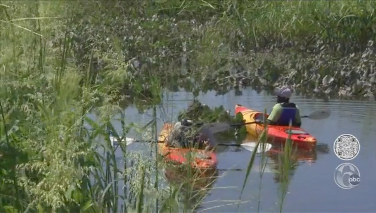 John Heinz National Wildlife Refuge celebrates 50 years