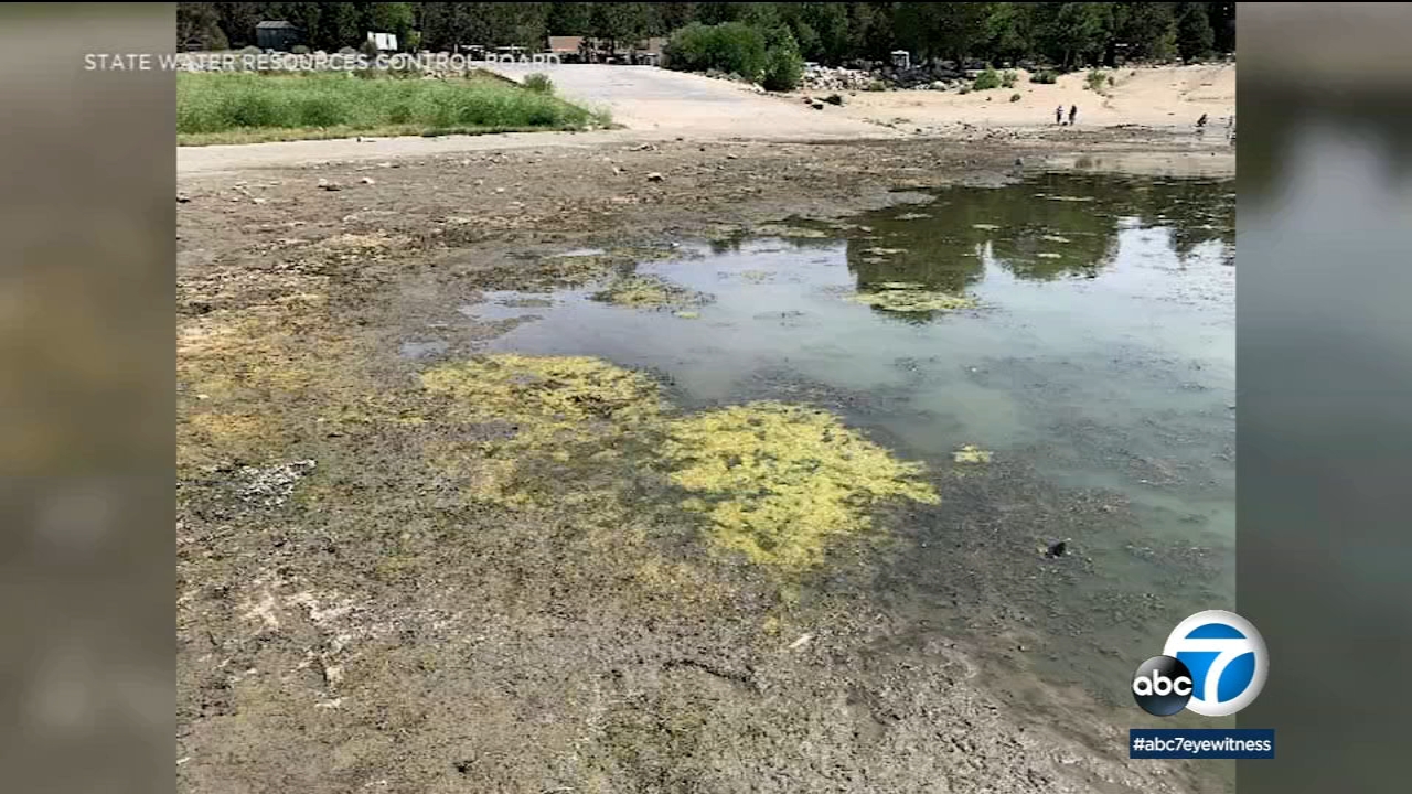 Algae prompts water warnings at Lake Elsinore, Big Bear