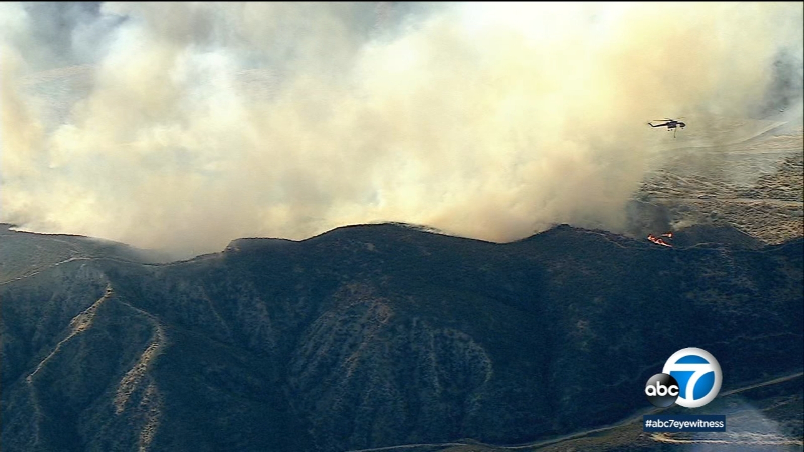 Castaic brush fire 50acre blaze sends smoke billowing over area after erupting near animal