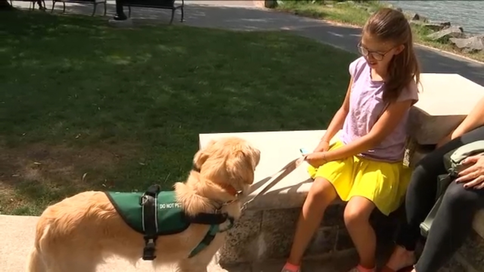 Service dog hopes to bring relief to Dobbs Ferry girl born with