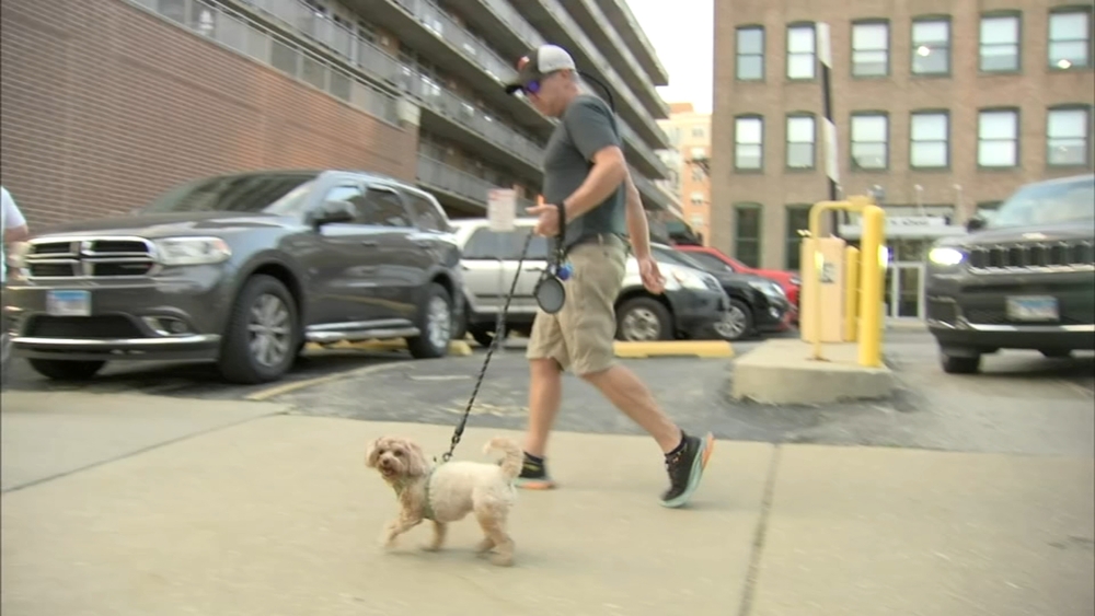 Dog walker foils attempted abduction in West Loop