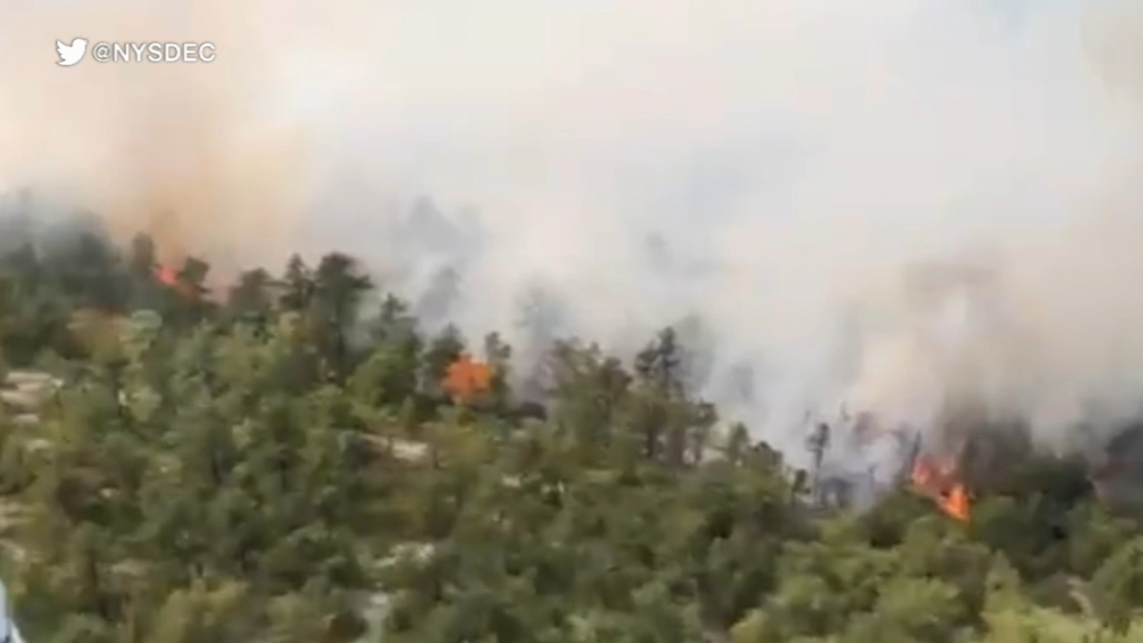 Members of the New York National Guard working to put out wildfires