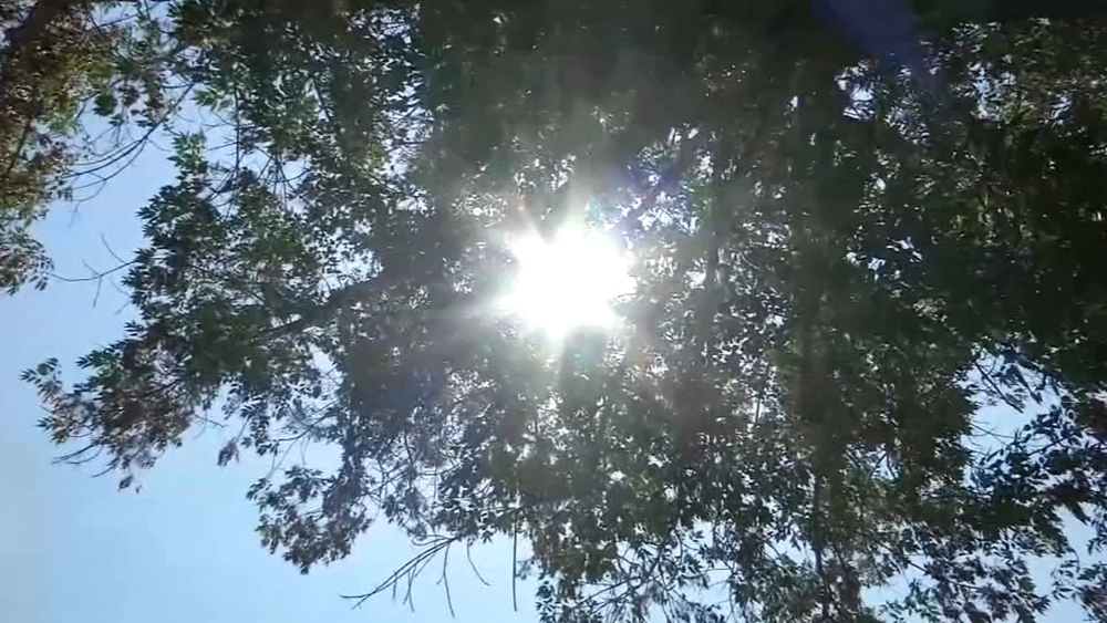 Flex Alert: Parts of CA could see 8 days of triple-digit heat