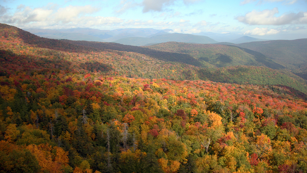 Meteorological and astronomical fall: What's the difference?