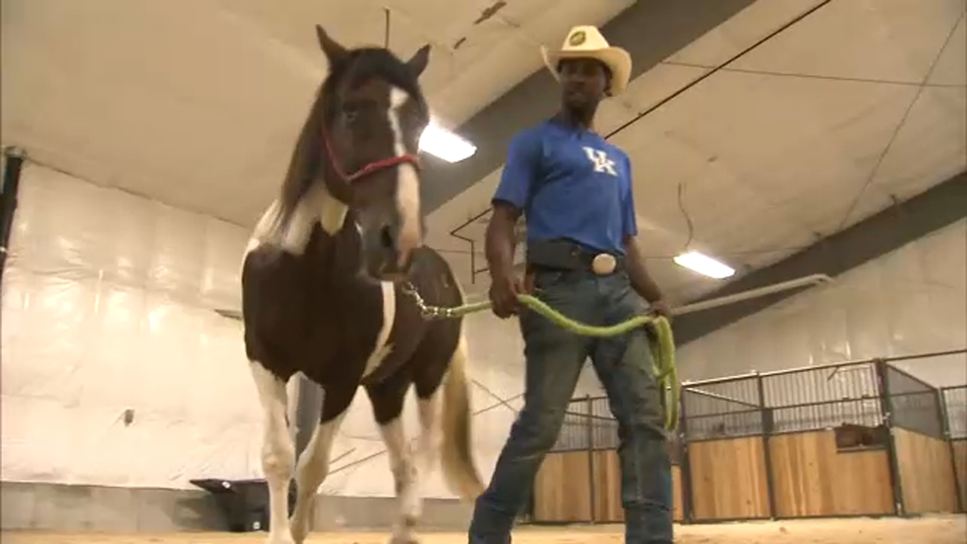 Chicago agricultural magnet school introduces new horses for therapeutic riding program