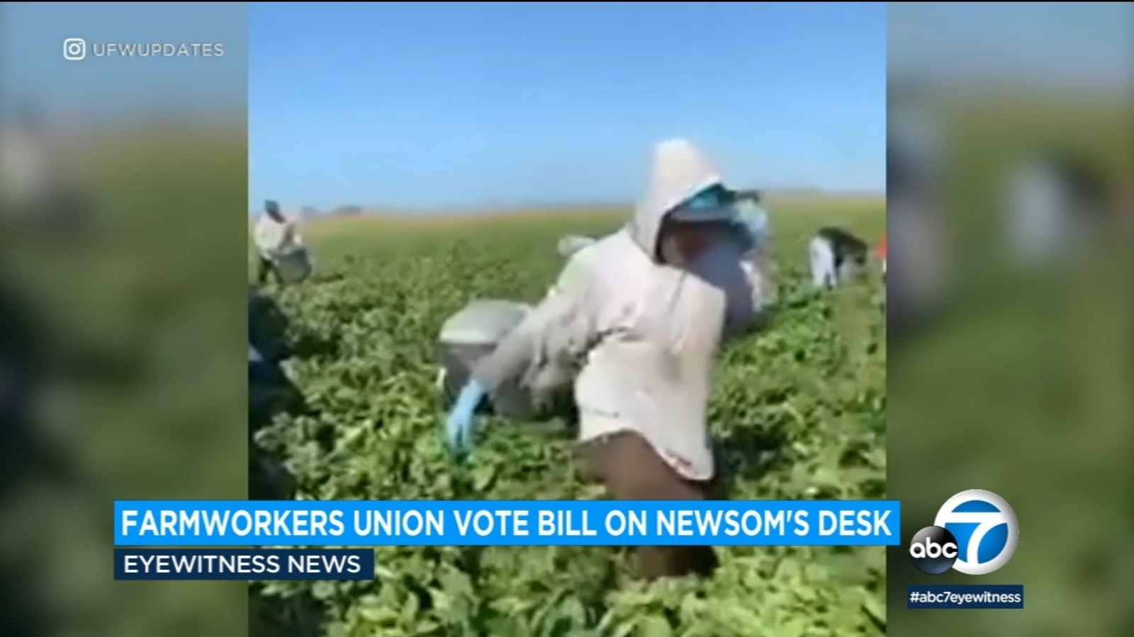 California farmworkers urging Newsom to sign bill giving them right to