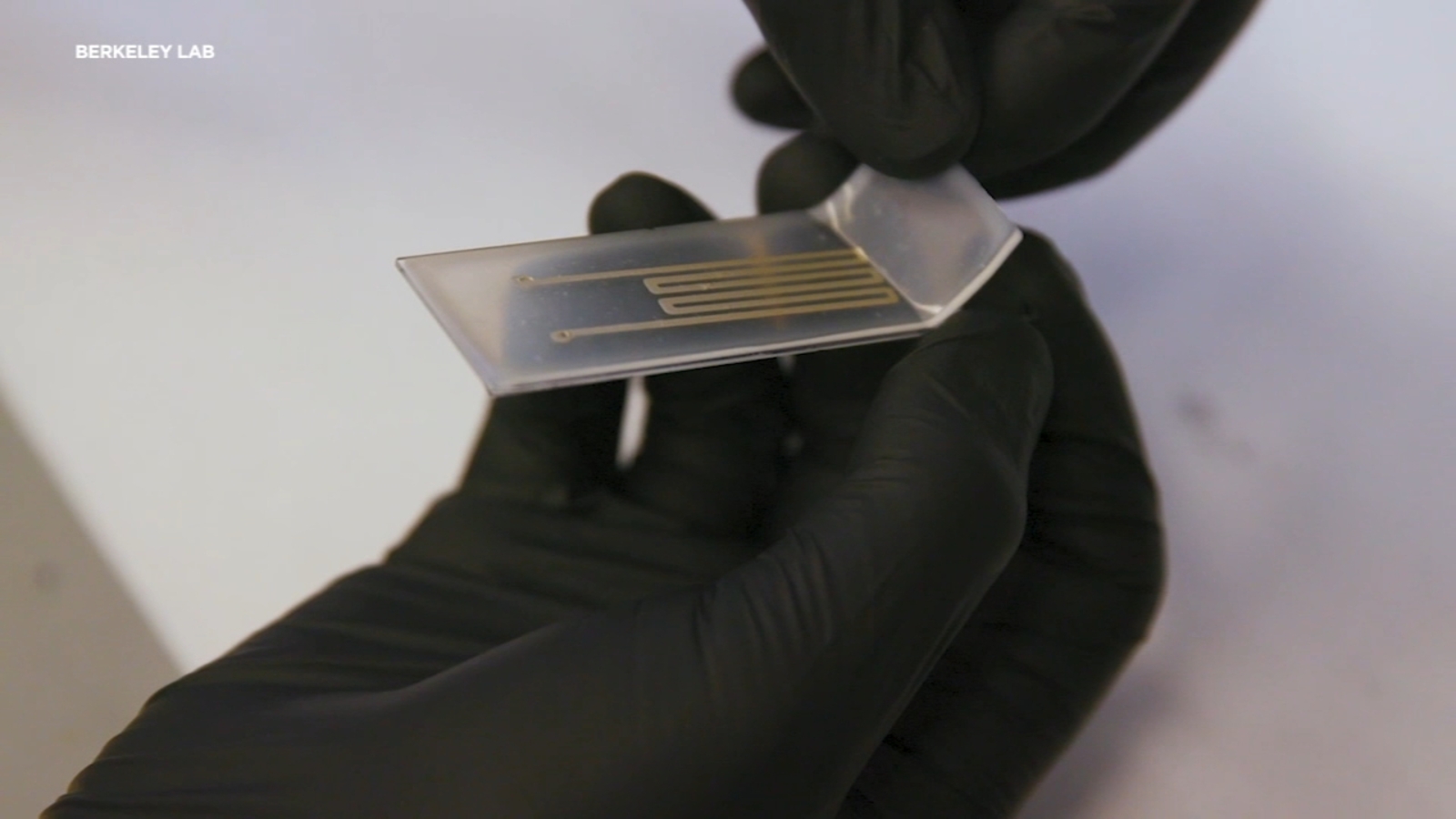 How a new Berkeley Lab, UC Berkeley biodegradable circuit could help ...