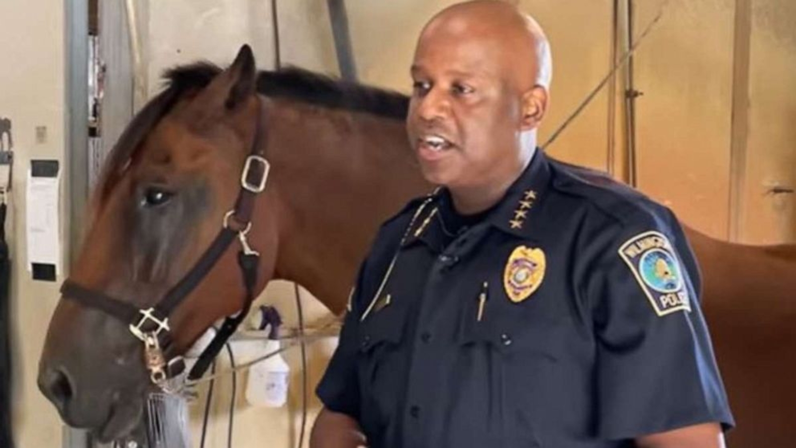 Police horse recovering after being struck by drunk driver for second