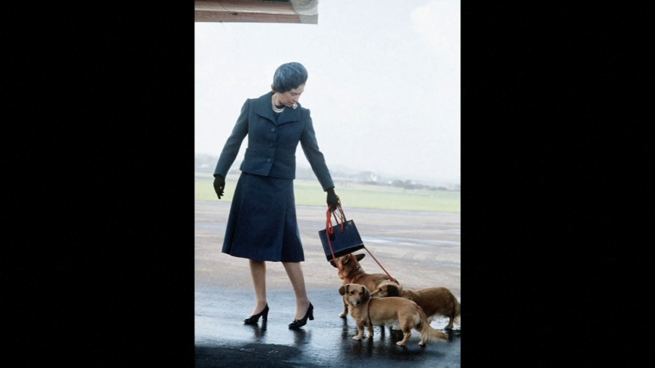 The story behind the Queen's beloved Corgis