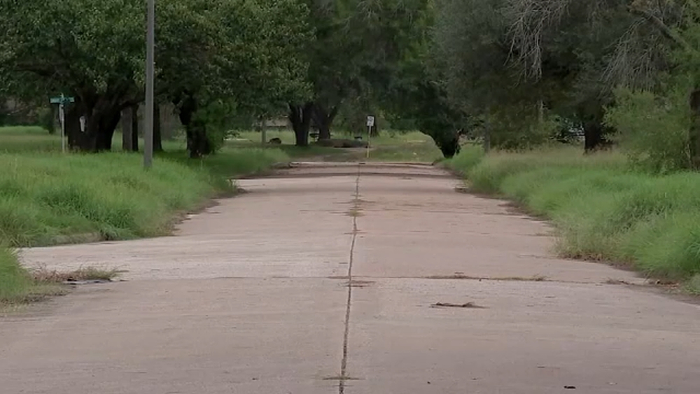 2 teens left woman whom they raped naked in deserted street, docs say
