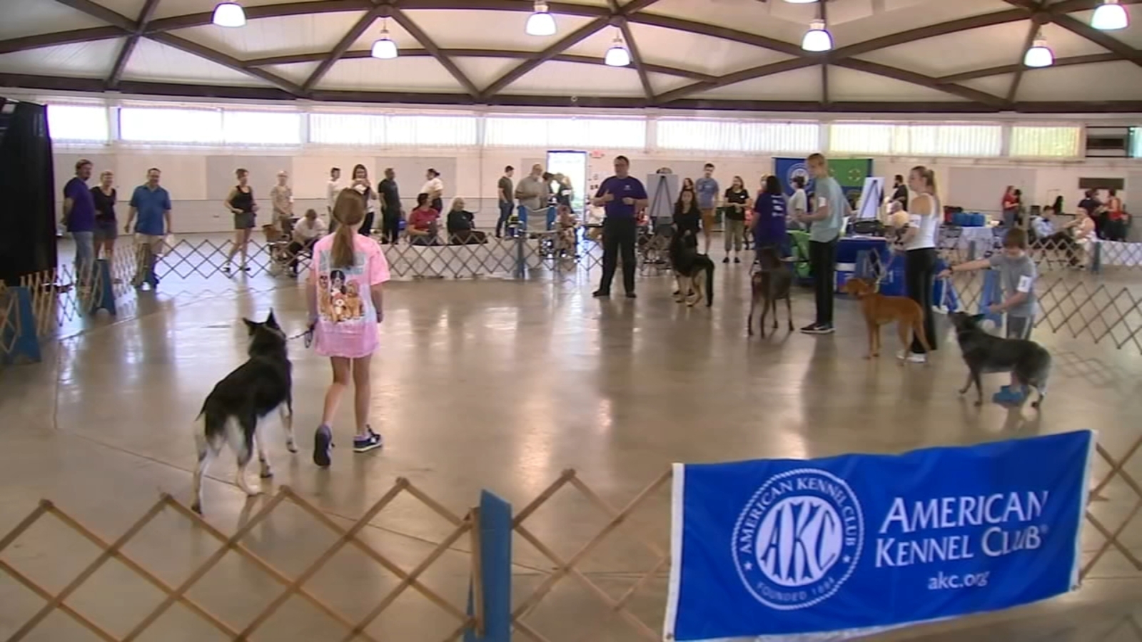 American Kennel Club host 'Dog Day' to promote responsible dog