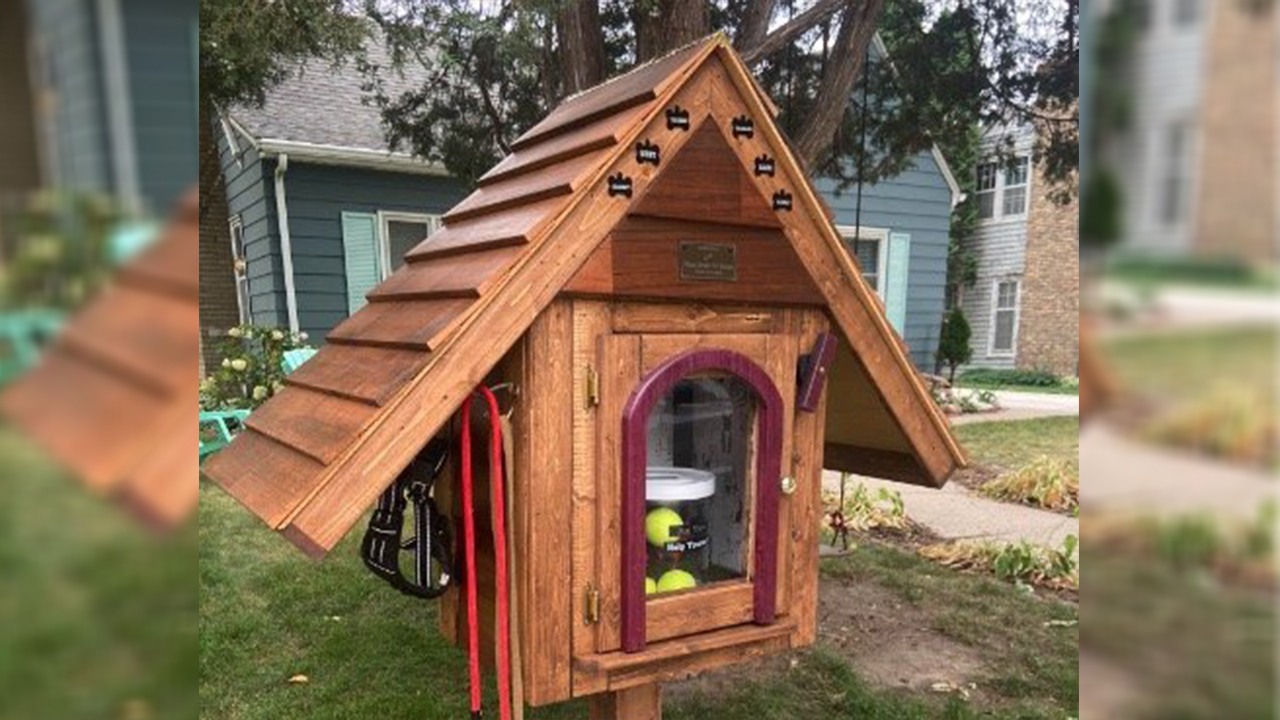 'Dog Library' created in honor of lost pets