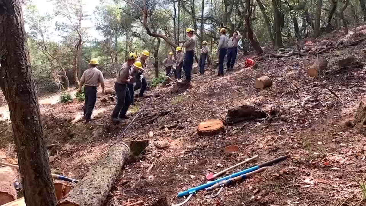 Weekend rain temporarily eases wildfire threat for Bay Area
