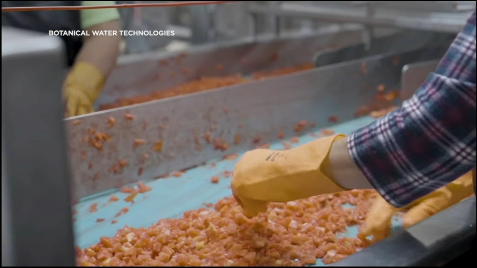 Turning tomatoes into drinking water? Ingomar Packing Company