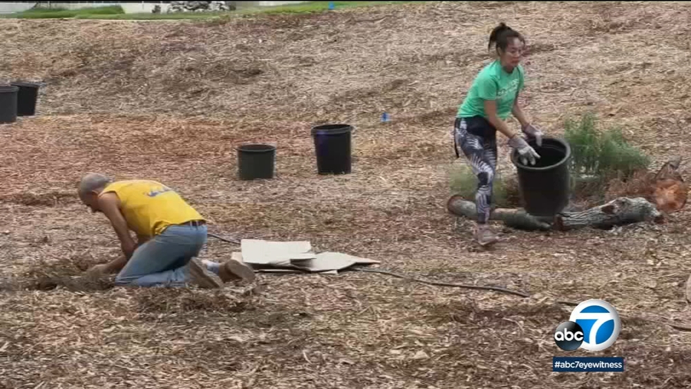 SoCal drought: Retired nuns transform home into water-saving oasis