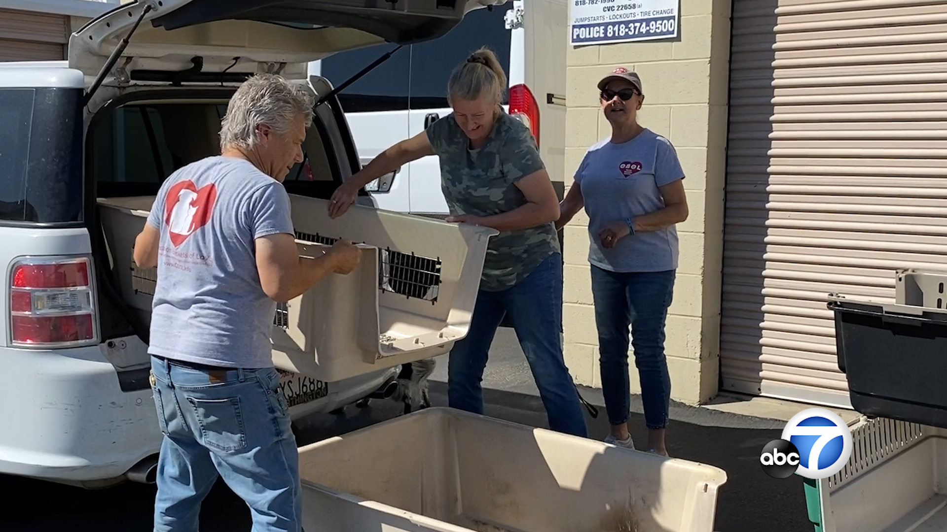 Operation Blankets of Love donates supplies to animal rescue groups
