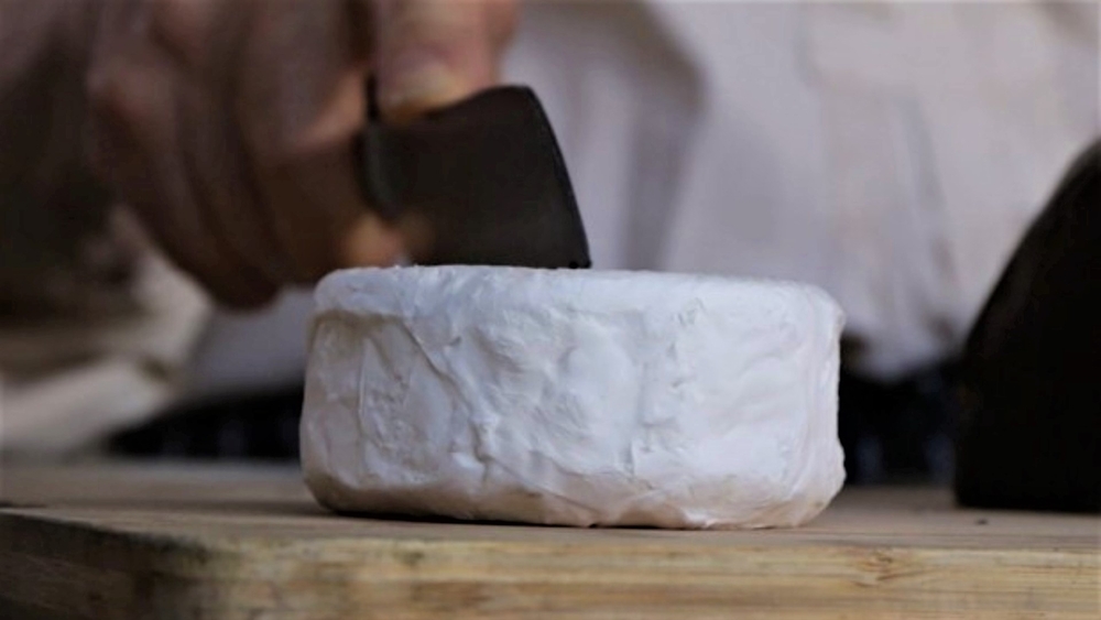 An inside look into the delicious art of goat cheese making