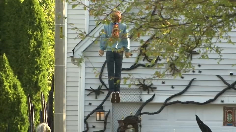Plainfield family hopes to get village appoval for 'Stranger Things' display