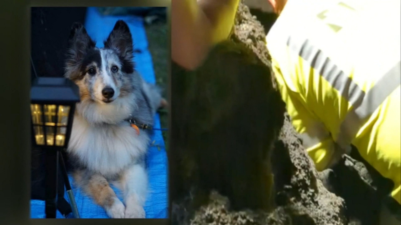 Firefighters rescue dog stuck in storm drain in North Dakota