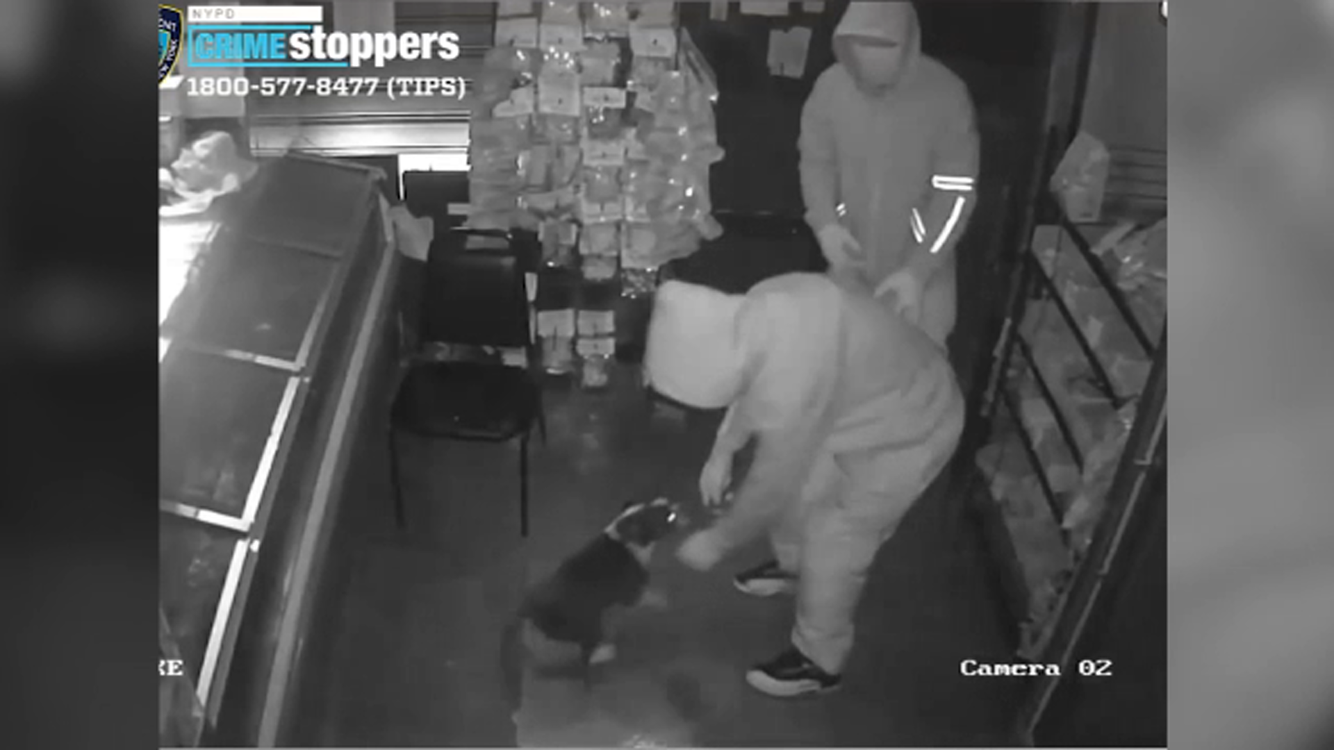 Burglars steal $43K in cash after multiple NYC break-ins: Police
