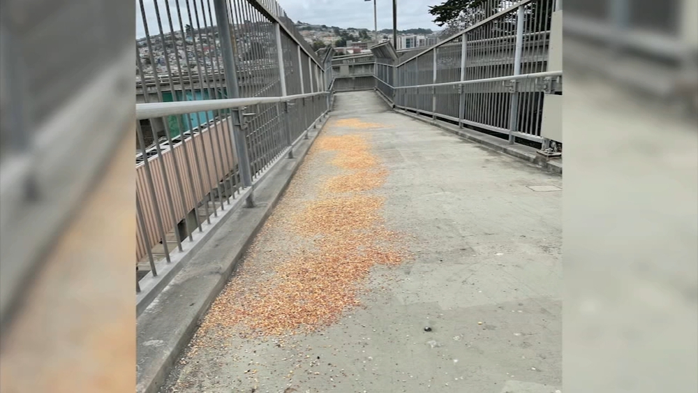 'Birdseed Lady' linked to growing rat problem in SF neighborhood